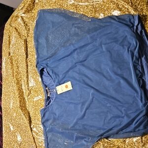 Blue and Gold Sheer Top